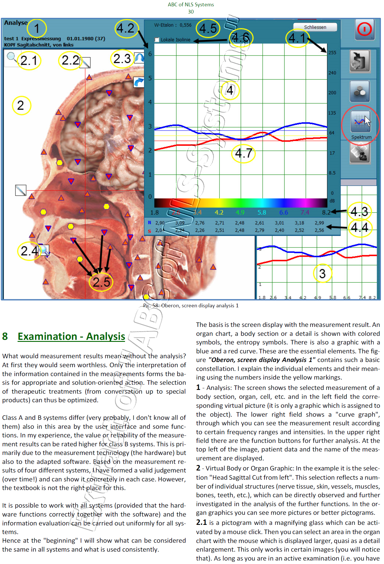 Examination - Analysis