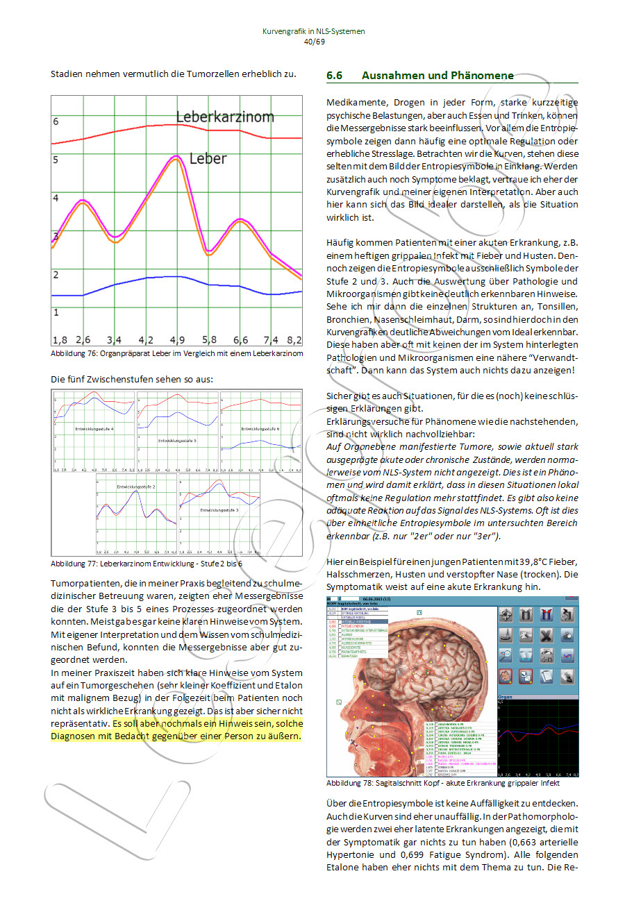 Ausnahmen und Phänomene