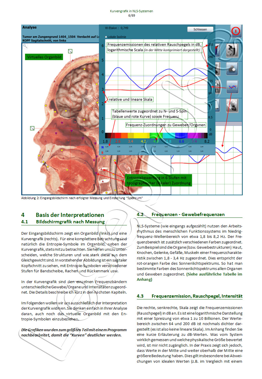 Basis der Interpretationen